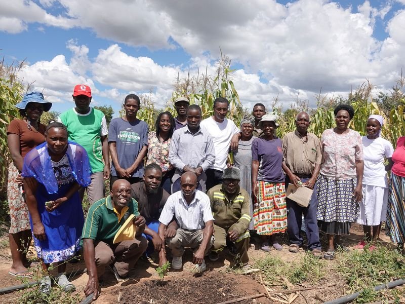  Agroforestry