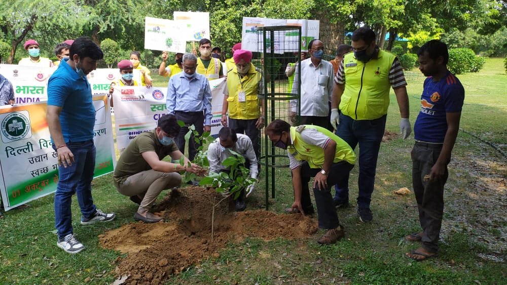 Tree Plantation Drive on Gandhi Jayanti